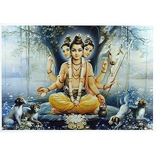 Shri gurucharitra (Marathi) by Ramchandra Krushna Kamat