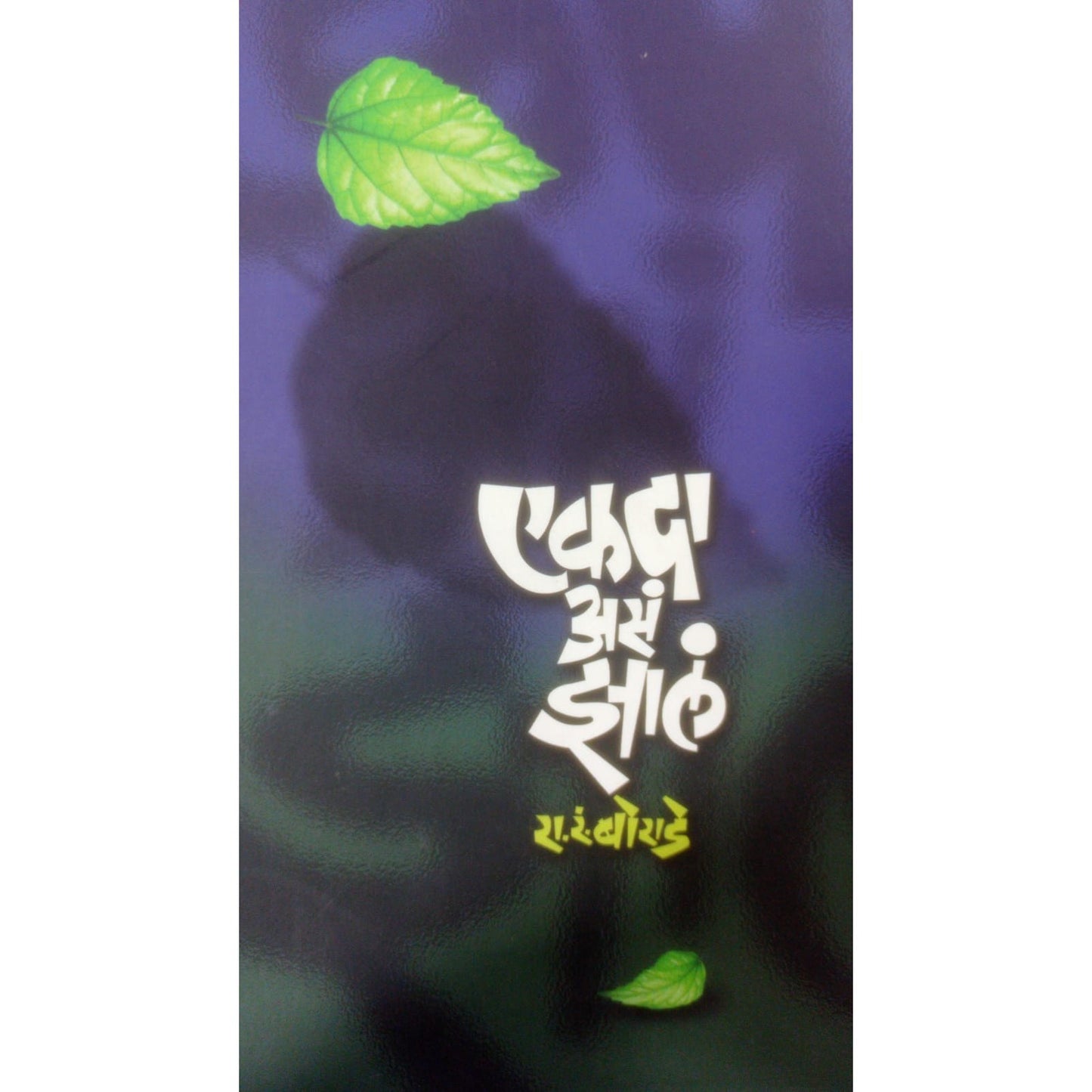 एकदा असं झालं By रा.रं. बोराडे