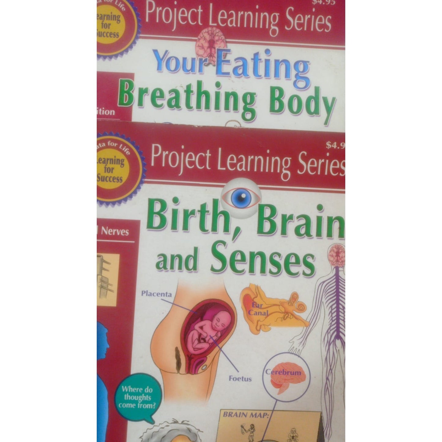 Project learning series : Birth, Brain and Senses + Your Eating Breathing Body