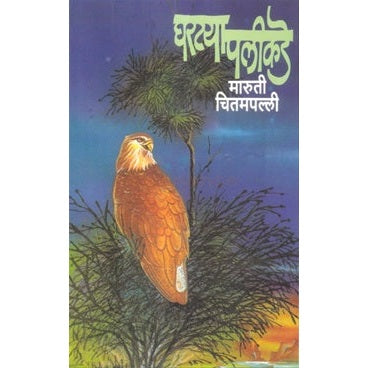 घरटया पलीकडे by मारुती चितमपल्ली