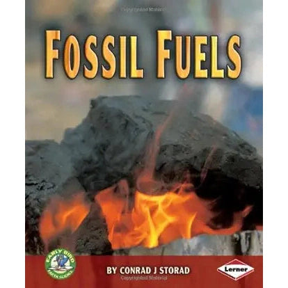 Fossil Fuels by Sally M. Walker (Author)