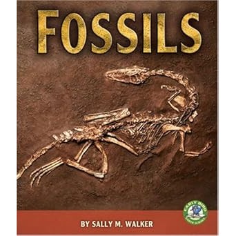 Fossils by Sally M. Walker (Author)