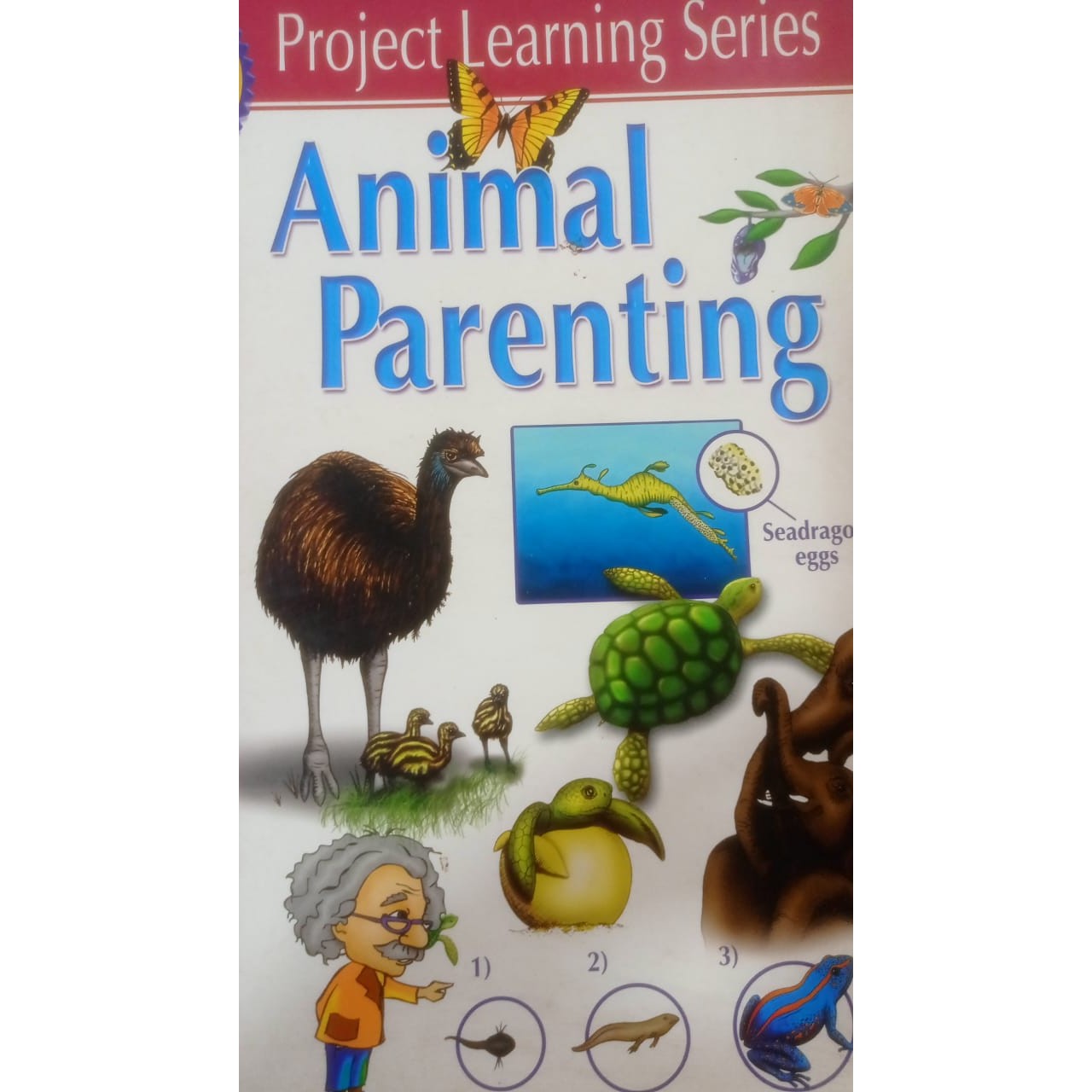 Project learning series Animal Parenting