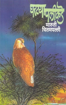 घरटया पलीकडे by मारुती चितमपल्ली
